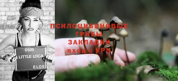 гашик Алзамай