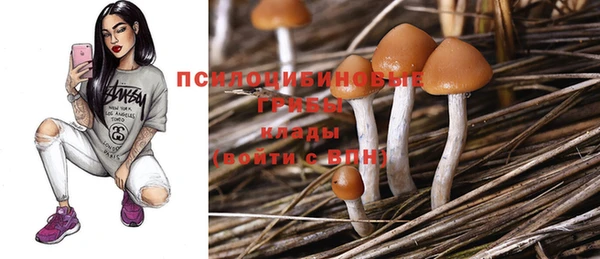 кокс Алексеевка