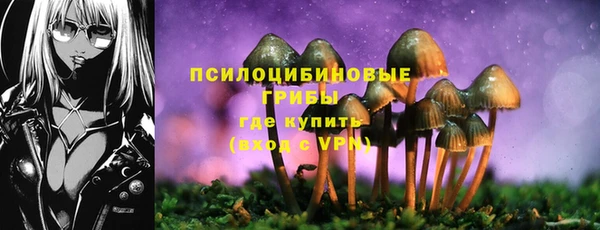 кокс Алексеевка