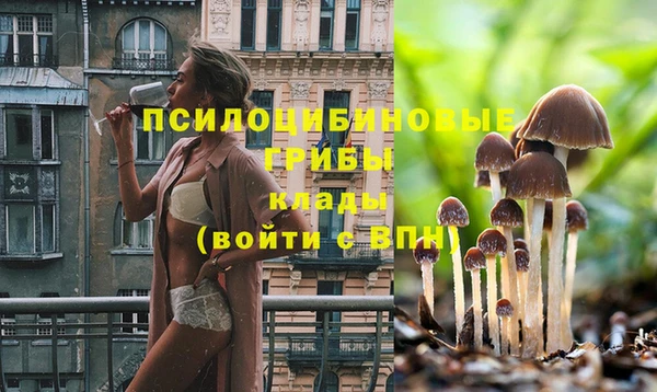 spice Алексин