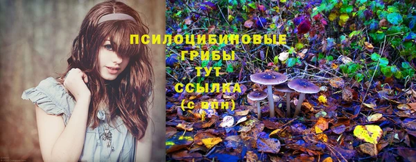 spice Алексин