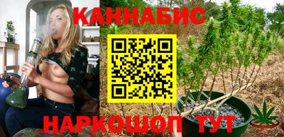 мяу мяу мука Лесосибирск